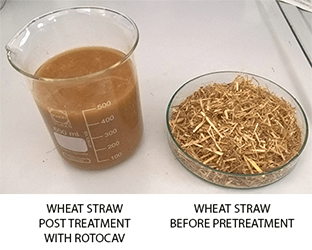 Pretreatment of biomass with hydrodynamic cavitator ROTOCAV for biogas production