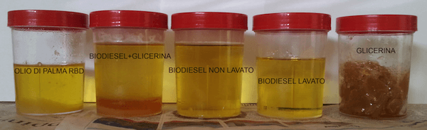 Campioni prelevati nelle varie fasi di processo della produzione di biodiesel impiegando il cavitatore ROTOCAV