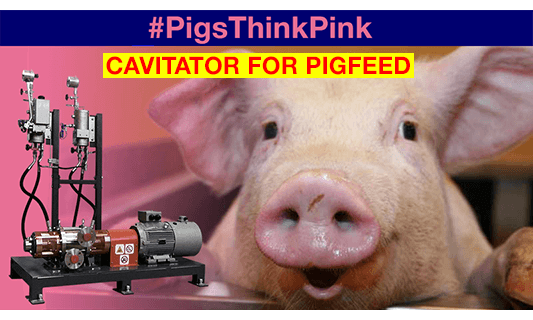 ROTOCAV for pigfeed - Hydrodynamic cavitation for more digestible pigfeed