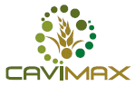 Cavimax-ltd